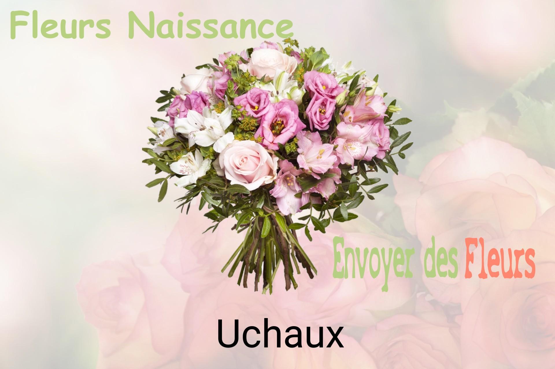 Bouquet de fleurs de naissance livré à Uchaux